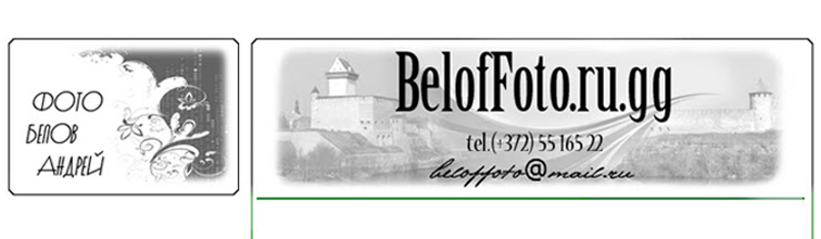 Примеры страниц beloffoto.ru.gg